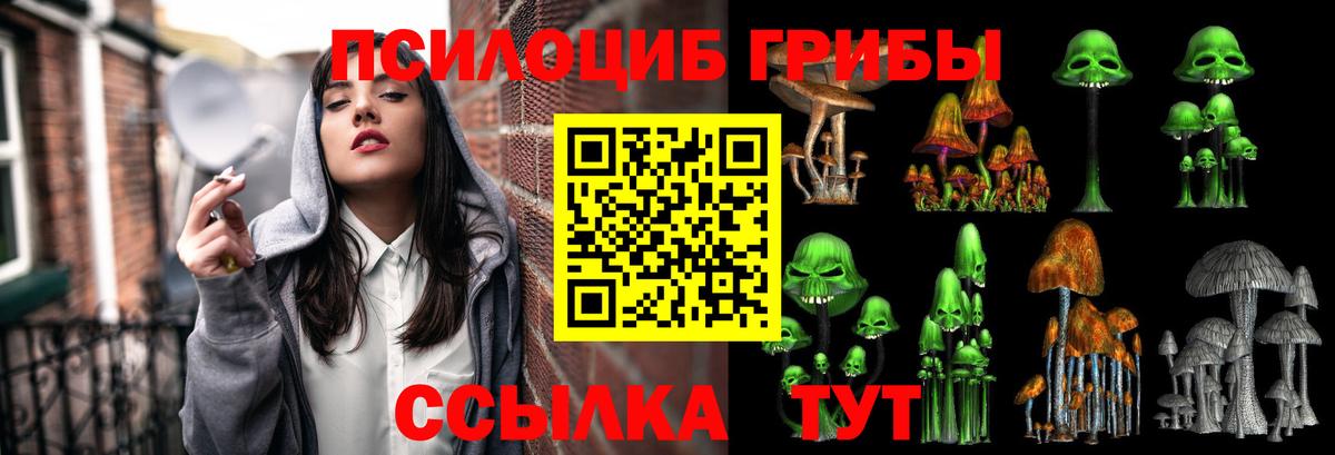 Галлюциногенные грибы мицелий  как найти   Кемерово  Вход с VPN 